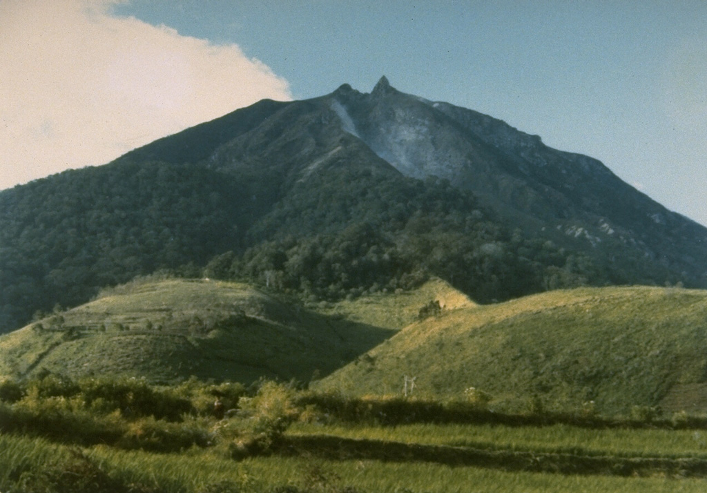 Sinabung volcano, seen from Gurukinayan village to the S, shows prominent lava flows on its flanks and a lava spine at the summit. Photo by S. Wikartadipura, 1982 (Volcanological Survey of Indonesia).