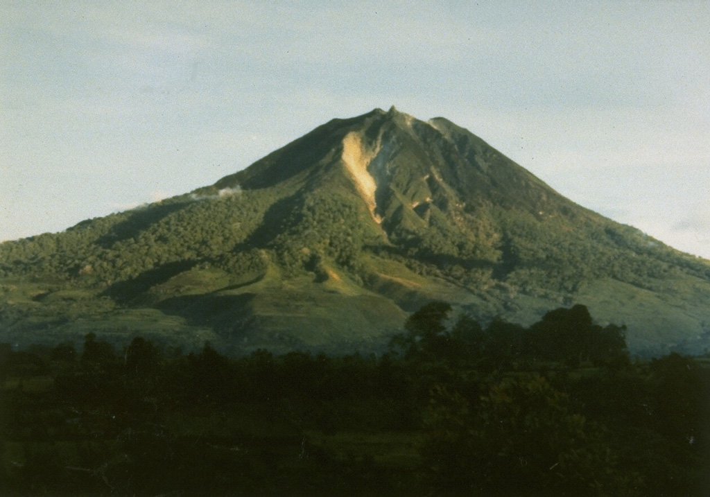 Sinabung volcano, seen here from Tigapancur village, is a prominent stratovolcano on the Karo Plateau in NW Sumatra. Levees of large lava flows (left-center) are prominent on the flanks of the volcano. At the time that this photo was taken in 1982, no confirmed historical eruptions were known. Photo by S. Wikartadipura, 1982 (Volcanological Survey of Indonesia).