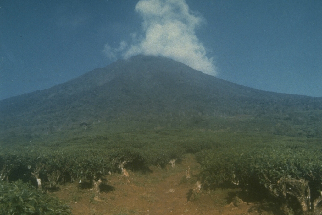 A meteorological cloud rises above the summit of Dempo stratovolcano in SE Sumatra, towering nearly 3 km above tea plantations below its E flank. Dempo has produced frequent historical recent small-to-moderate explosive eruptions. The summit contains seven partially overlapping craters, the youngest of which is partially filled by a crater lake. Photo by Deddy Rochendi, 1981 (Volcanological Survey of Indonesia).