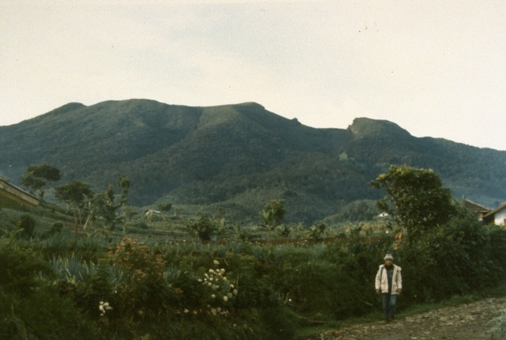 Gede volcano in western Java, seen here from the NE, is adjacent to Gunung Pangrango. Many lava flows are visible on its flanks, including some that may have been erupted in historical time. The steep-walled summit crater has migrated about 1 km to the NNW over time. Two large debris-avalanche deposits on its flanks record previous large-scale collapse events. Photo by Ruska Hadian, 1990 (Volcanological Survey of Indonesia).
