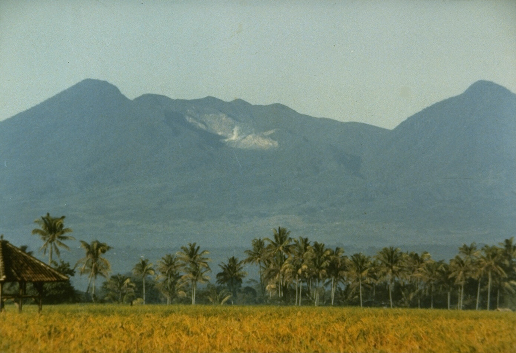 Papandayan volcano has four large summit craters. The light-colored area in this view from the east is Kawah Mas ("Golden Crater"), an active hydrothermal area that was the site of two small phreatic eruptions in the first half of the twentieth century. In 1772 the volcano underwent flank collapsed that produced a debris avalanche that swept over lowland areas to the east, destroying 40 villages. Photo by Ruska Hadian, 1982 (Volcanological Survey of Indonesia).
