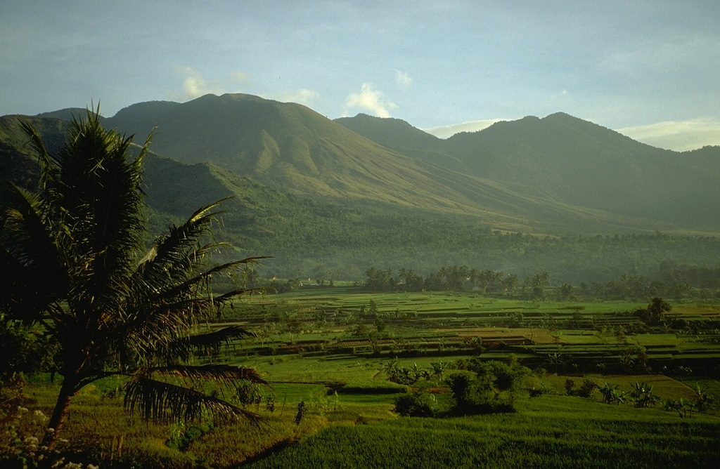 Guntur is composed of older volcanic complexes on the NW and a younger group of cones on the SE. The youngest cone, Guntur (whose name means "thunder"), has been the source of frequent explosive eruptions in the 19th century. This view is from the Volcanological Survey of Indonesia observatory on the south side of the volcano. The peak at the right is Gunung Picung. Photo by Lee Siebert, 1995 (Smithsonian Institution).