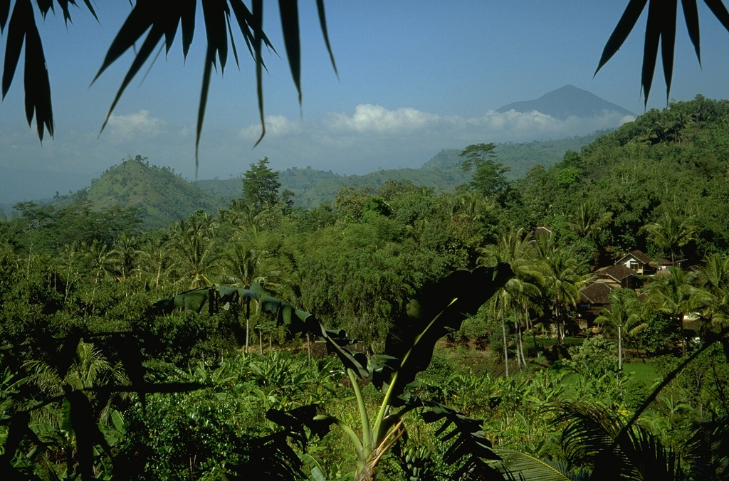 The forested hills in the foreground are part of a massive, hummocky debris-avalanche deposit that originated from a prehistoric flank collapse of Guntur volcano, seen in the distance at the upper right. Photo by Lee Siebert, 1995 (Smithsonian Institution).
