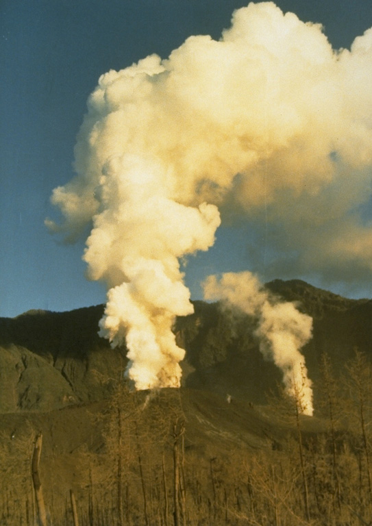 Gas and steam emission above new vents at Galunggung volcano on 7 May 1982, a month after the onset of the eruption. On 17 May the eruption intensity increased and continued intermittently through much of the year. This photo was taken from Pasir Bentang, about 2 km SE of the crater. Photo by Ruska Hadian, 1982 (Volcanological Survey of Indonesia).