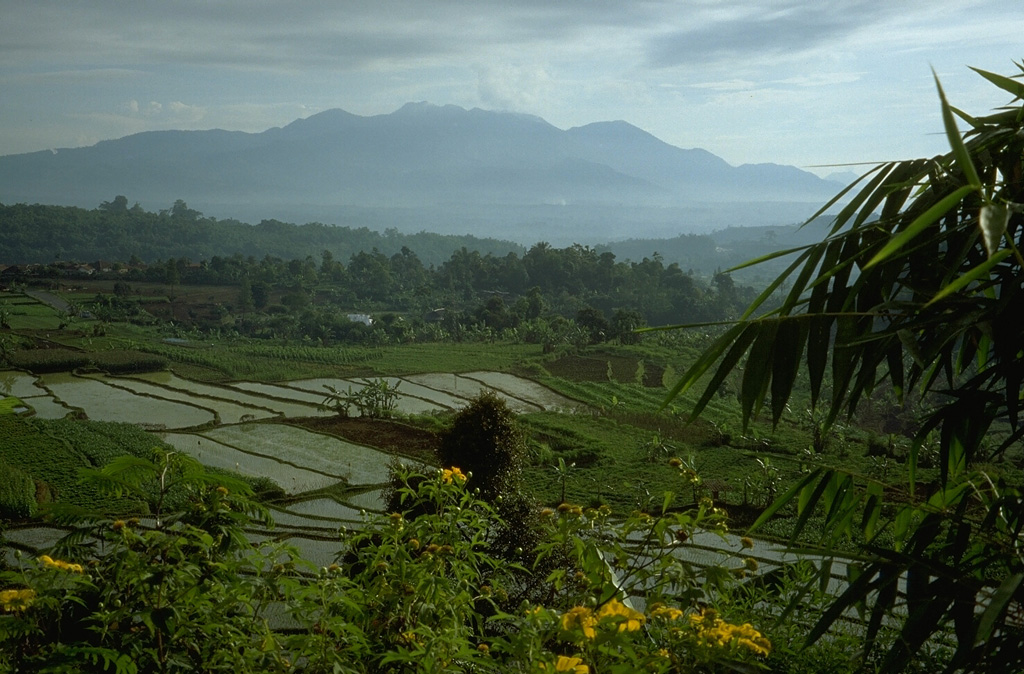 Guntur volcano is viewed here from the S near the base of Papandayan, looking across rice fields in the plain of Garut. The rounded profile of Gunung Guntur, the youngest cone of the volcanic complex, appears on the right horizon. Photo by Lee Siebert, 1995 (Smithsonian Institution).