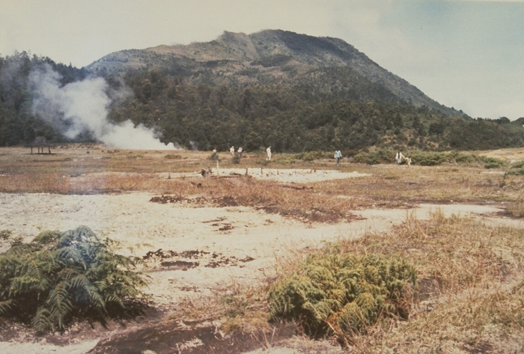 A plume rises from the Kawah Sikidang thermal area, one of the most visited in the Dieng volcanic complex. The Bisma cone is in the background to the SW. Kawah Sikidang is one of several craters at Dieng that have produced phreatic eruptions during historical time. Photo by Sumarma Hamidi, 1973 (Volcanological Survey of Indonesia).