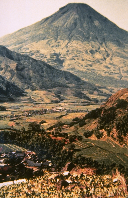 Sundoro volcano, seen here from Wadas Putih village to its NW, is SE of the Dieng volcanic complex. Explosive eruptions have occurred from both summit and flank vents at during historical time, most recently in 1971. Photo by Ruska Hadian, 1979 (Volcanological Survey of Indonesia).