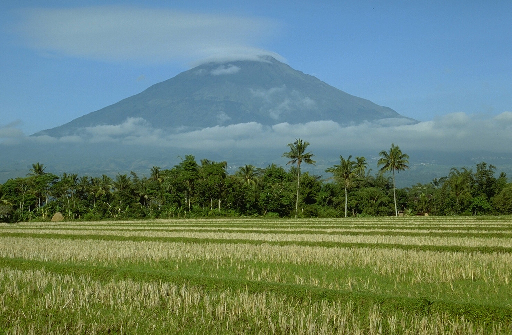 Sumbing rises above rice fields immediately to the SE of Sundoro volcano. An 800-m-wide crater at the summit is breached to the NE, and flank cones are located on the N and SW sides. A phreatic explosion from the summit crater was reported in 1730. Photo by Lee Siebert, 1995 (Smithsonian Institution).