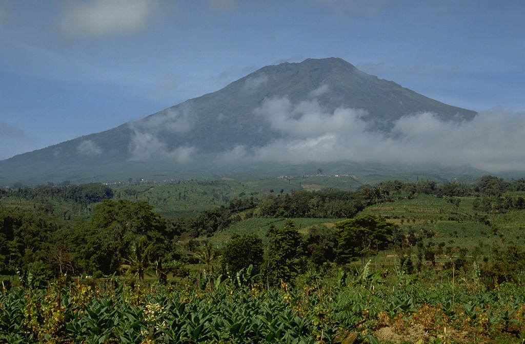 Gunung Sumbing is seen here from the NNW. During one of the more recent eruptions a lava dome was emplaced in the summit crater and a lava flow traveled down the NE flank. Photo by Lee Siebert, 1995 (Smithsonian Institution).