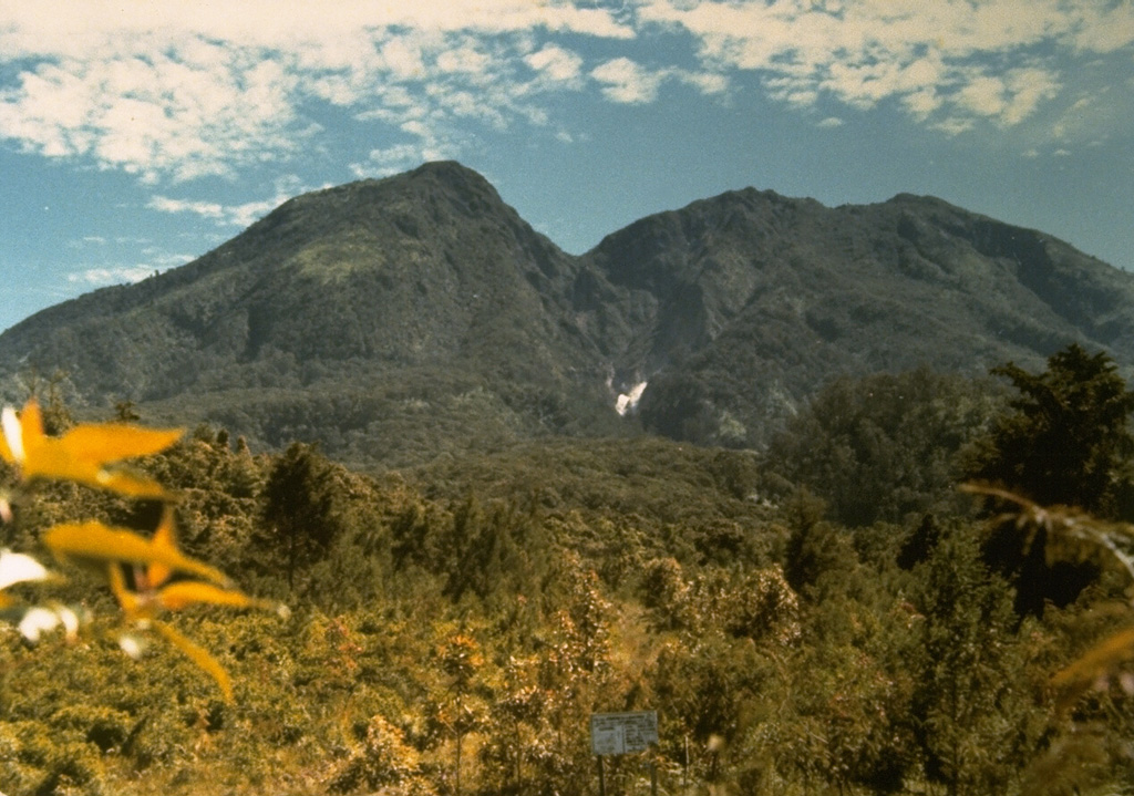 Lawu dominates the skyline east of the city of Surakarta (Solo). This view is from the south, with a white plume rising from a thermal area at the center of the photo. Lawu was constructed to the north of an older complex during the Holocene. A rift valley between the two volcanoes is occupied on the east by several crater lakes. Photo by J. Matehelumual, 1979 (Volcanological Survey of Indonesia).