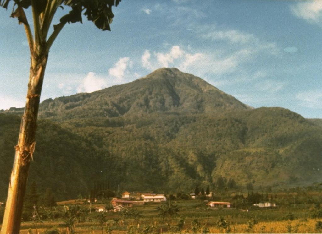The forested Lawu, seen here from the SW, is located between the cities of Surakarta and Madiun. A trail to the top of the volcano is used for pilgrimages to the Hindu-Buddhist temple near the summit. Photo by J. Matahelumual, 1979 (Volcanological Survey of Indonesia).