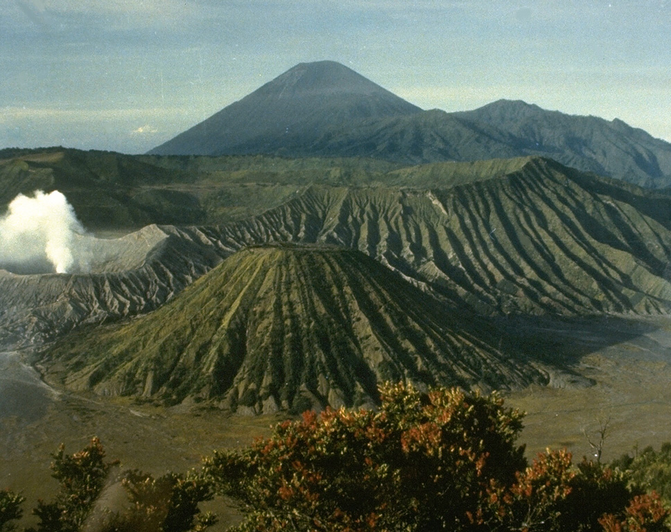 Bromo volcano produces a gas-and-steam plume at the left in this view from the rim of Ngadisari caldera, the older of two Tengger calderas. Bromo and Batok in the lower center are two of several post-caldera cones within the caldera. The towering peak of Semeru appears in the background at the end of a N-S trending volcanic massif. Photo courtesy of Volcanological Survey of Indonesia.