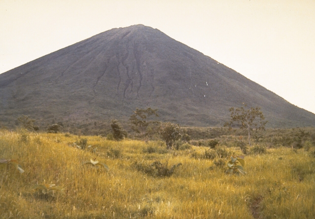 The sparsely vegetated slopes of Gunung Lamongan rise above grasslands at the western flank of the volcano. Photo by Sumarma Hamidi, 1973 (Volcanological Survey of Indonesia).