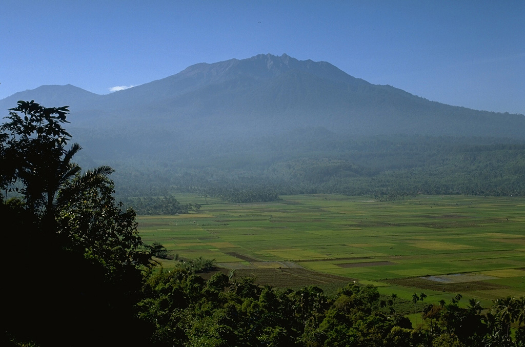 Rice fields cover an area formed by debris avalanche deposits in front of Raung volcano to the W. The northern and southern walls forming cliffs to the left and right sides of the photo are scarps from the collapse event, which produced one of the world's largest debris avalanches that nearly reached the Indian Ocean. Photo by Lee Siebert, 1995 (Smithsonian Institution).