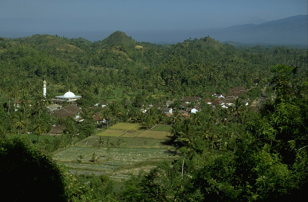 This hilly terrain is part of a massive debris-avalanche deposit that formed as a result of collapse of Gunung Gadung on the west side of Raung volcano. The debris-avalanche deposit has an estimated volume of about 25 km3. The avalanche banked against the slopes of Iyang-Argapura volcano and was deflected to the SW, traveling nearly to the Indian Ocean. Photo by Lee Siebert, 1995 (Smithsonian Institution).