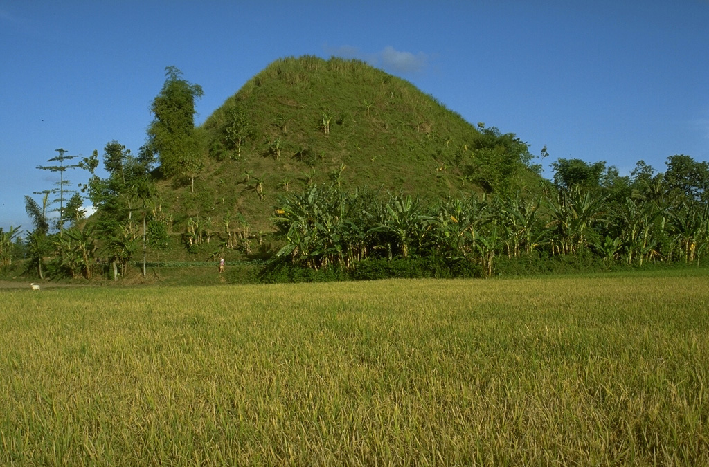 This 20-m-high conical hill is a hummock that is part of a massive debris avalanche deposit produced by the collapse of Gunung Gadung, a stratovolcano on the west side of Raung volcano. The hummocky topography produced by the massive landslide extends many tens of km from the volcano. Photo by Lee Siebert, 1995 (Smithsonian Institution).