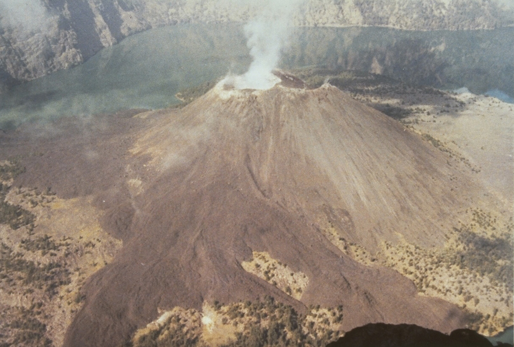 An eruption from a vent on the upper E flank of Barujari cone in 1966 produced the lava flows that can be seen extending into the caldera lake in this 1973 photo from the NE caldera rim. The flows traveled N into an inlet of Segara Anak (lower right) and S into Segara Endut inlet. In 1966 explosive eruptions formed a new small cone that fed the lava flows, which eventually covered a 600 x 1,700 m area. On 5-8 August activity increased and produced an ash plume. Photo by Sumarma Hamidi, 1973 (Volcanological Survey of Indonesia).