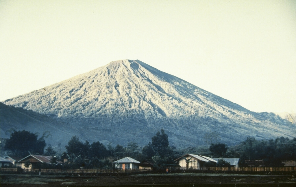 Rinjani volcano on Lombok Island rises to 3,726 m, seen here from the village of Sembalum Lawang to the NE. The western side contains the 6 x 8.5 km Segara Anak caldera. Historical eruptions have been recorded since 1847 from Gunung Barujari, a cone within the caldera. Photo by Willem Rohi, 1989 (Volcanological Survey of Indonesia).