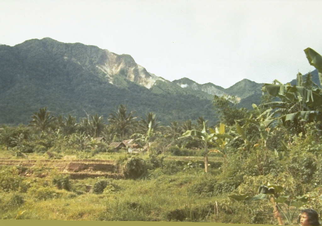 The compound volcano Ambang, seen here from Purworejo village, is the westernmost of the active volcanoes on the northern arm of Sulawesi Island.  Five fumarole fields are located near the summit.  An eruption in the 1840's is the only one known from Ambang volcano. Photo by Ruska Hadian, 1973 (Volcanological Survey of Indonesia).