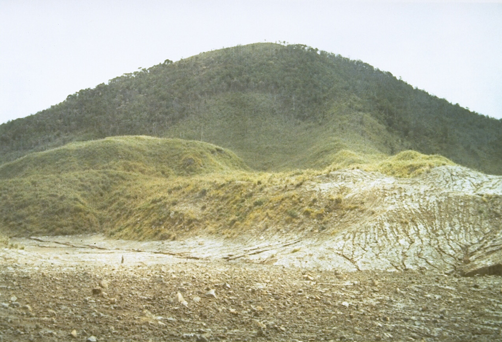 Gunung Empung volcano, seen here from the SW near the rim of Tompaluan crater, is lower than its twin volcano, Gunung Lokon.  In constrast to Lokon volcano, which lacks a summit crater, Empung volcano contains a 400-m-wide, 150-m-deep crater.  Empung was active during the 14th and 18th centuries, but all eruptions since have occurred from Tompaluan crater, which occupies a saddle between Lokon and Empung. Photo by A.D. Wirasaputra, 1973 (Volcanological Survey of Indonesia).