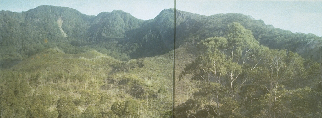 The forested summit of Tongkoko volcano at the NE tip of Sulawesi is truncated by a large elongated, 1 x 2 km wide crater that contains a central cone.  In 1801 a crater lake was observed.  Eruptions have occurred at Tongkoko during historical time from both summit and flank craters. Photo by A.R. Sumailani, 1973 (Volcanological Survey of Indonesia).