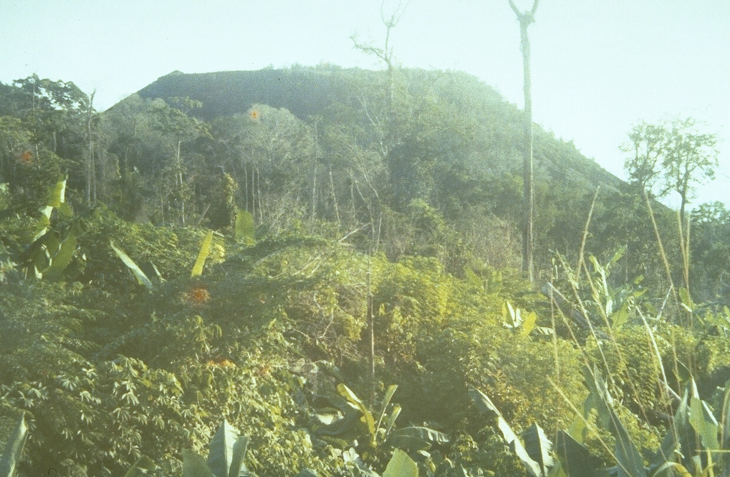 The flat-topped Batu Angus lava dome formed on the east flank of Tongkoko volcano during an eruption in 1801.  A lava flow traveled 2 km down the flank.  The 1801 eruption also included formation of small cones at the bottom of the crater lake at the summit of the volcano. Photo by A.R. Sumailani, 1973 (Volcanological Survey of Indonesia).