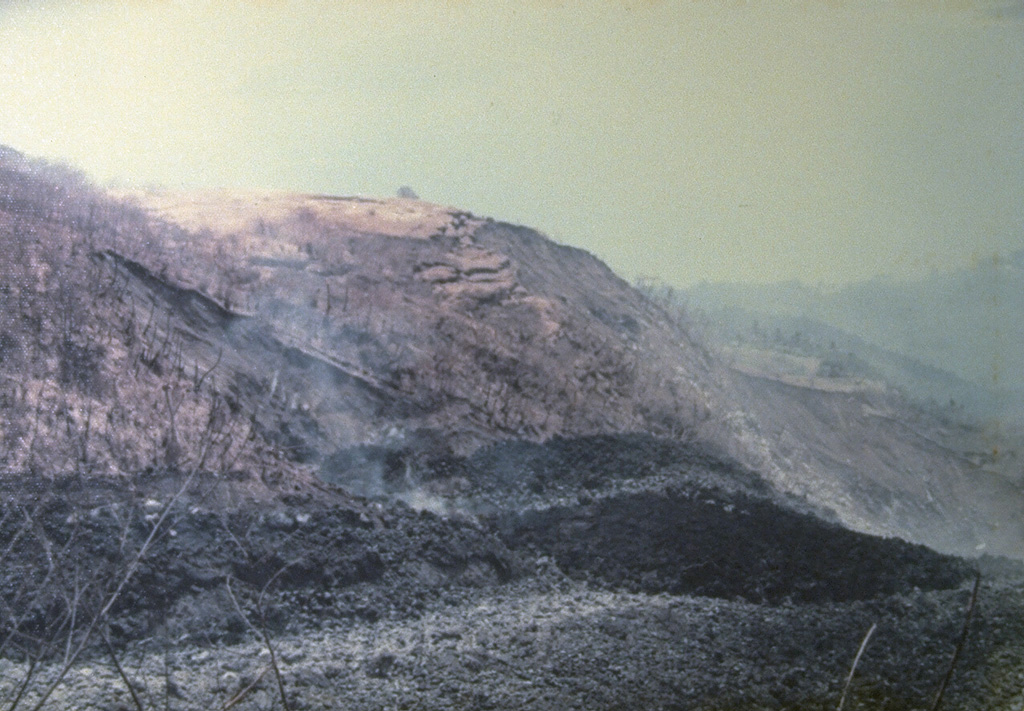 An eruption began on September 15, 1976, from a new vent on the south flank at 1000 m altitude.  It produced a lava flow, seen in the foreground of this photo, that traveled 7 km to reach the sea on the SW flank.  Pyroclastic flows from collapse of the lava flow's terminous scorched vegetation near the flow, destroyed houses, and caused one fatality.  The eruption lasted until September of the following year. Photo by J. Matahelumual, 1976 (Volcanological Survey of Indonesia).