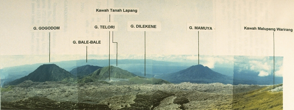 This compound photo from Malupang Warirang, whose crater rim appears at the extreme right, shows features of the massive Dukono volcanic complex in northern Halmahera.  The prominent flank stratovolcano Gunung Mamuya appears along the coast in the right distance.  Dukono, one of Indonesia's most active volcanoes, has been in more or less continual eruptive activity since 1933. Photo by A. Solihin, 1984 (Volcanological Survey of Indonesia).