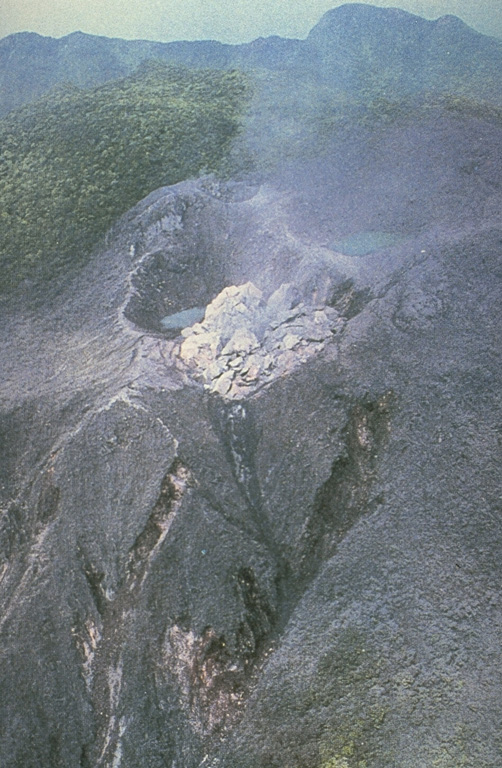 A new lava dome at the summit of Unzendake’s Fugendake is viewed from the air on 20 May 1991, the first day of dome growth that continued until February 1995. The blocky light-colored dacite lava was extruded into Jigokuto crater that formed during explosive activity on the first day of the 1990-95 eruption (17 November). Forested areas around the vents have been defoliated by the explosions, but at this early date undamaged forest remains in the background. Photo courtesy Shimbara Earthquake and Volcano Observatory, 1991.