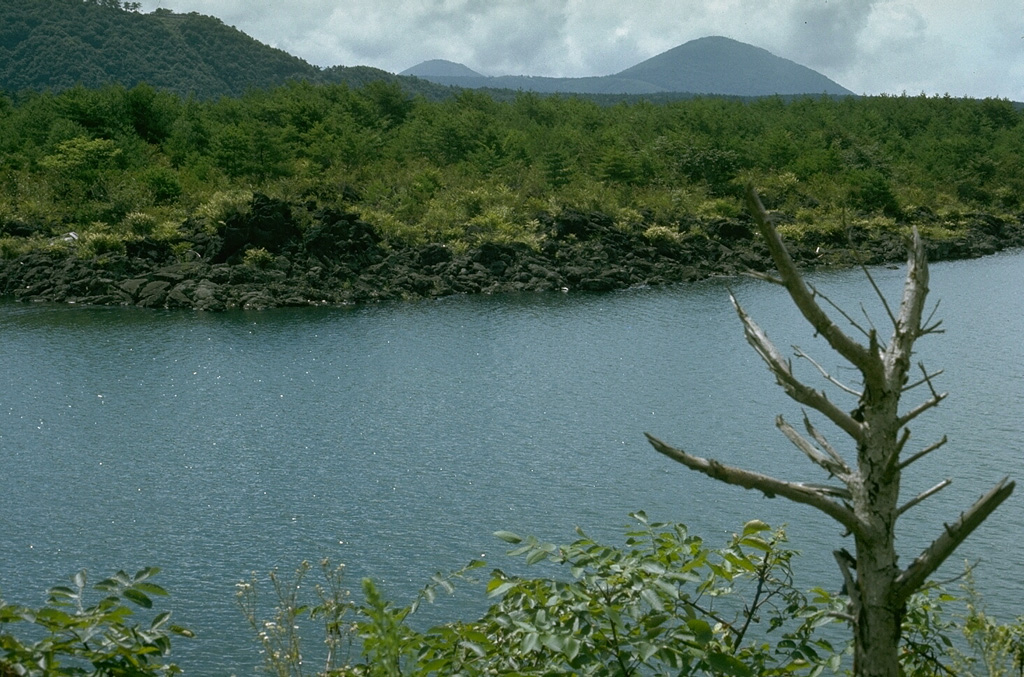 This lava flow on the shore of Saiko lake and the flat plain beyond it are part of a single massive lava flow erupted from Nagaoyama on the NW flank of Mount Fuji in 864 CE. The 32 km2 lava flow was responsible for the present morphology of Saiko lake, which formed when the lava flow split a former larger lake in two. The scoria cone on the horizon is Omuroyama, the largest flank cone of Mount Fuji, that formed during an eruption about 2,900 years ago. Photo by Lee Siebert, 1977 (Smithsonian Institution).