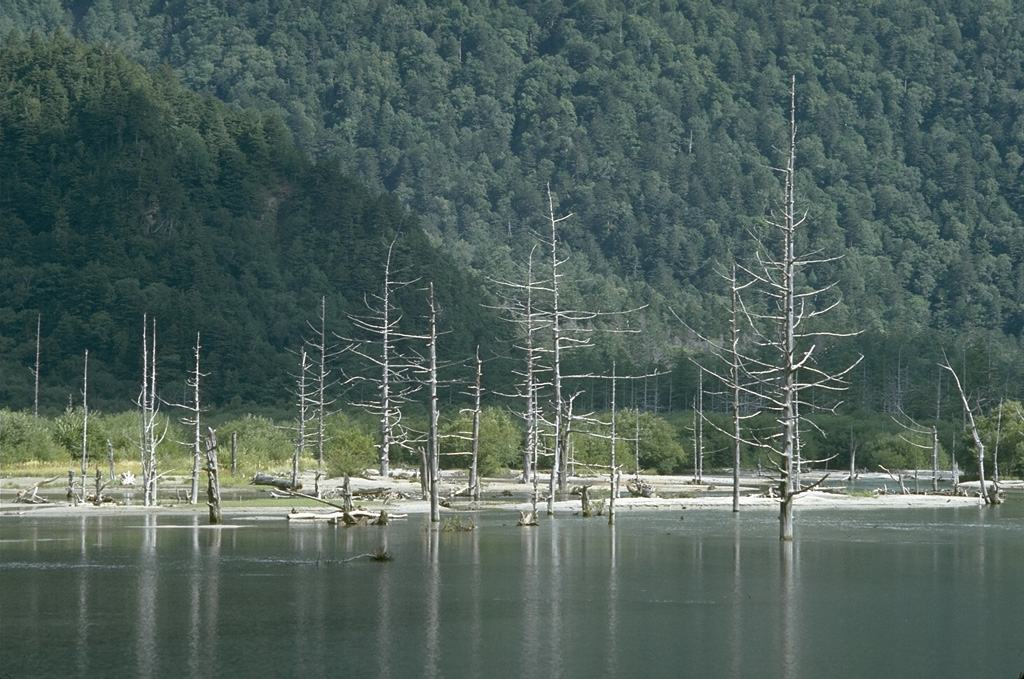 A lahar during an eruption of Yakedake volcano in 1915 dammed the Azusagawa river to form the Taishoike pond, leaving these standing dead trees. The eruption began on 6 June 1915 from a 1-km-long fracture that extended from the summit down the ESE flank where about 50 vents opened, but the principal activity took place at the upper end. Photo by Lee Siebert (Smithsonian Institution).