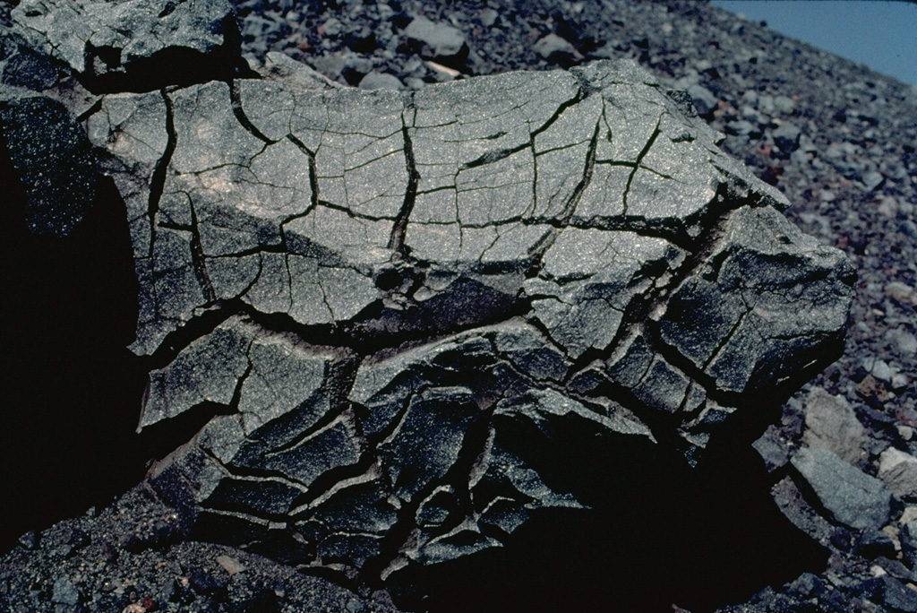 The surface texture of this large volcanic bomb suggests its name.  Breadcrust bombs are produced when the surface of a newly ejected block cools and fractures while degassing inflates the still-hot interior.  This roughly 1-m-wide breadcrust bomb was ejected onto the rim of Asama volcano in Japan. Copyrighted photo by Katia and Maurice Krafft, 1981.