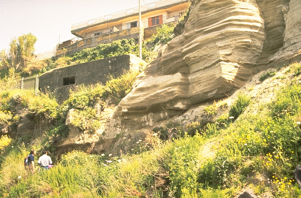 The bedded layers at the right, near the town of Torre de Greco on the S flank of Vesuvius, are pyroclastic surge deposits from the Plinian Avellino eruption that occurred about 3,700 years ago. This eruption, one of eight major explosive eruptions since formation of the Monte Somma caldera, produced 2.9 km3 of tephra. Pyroclastic surges (1 km3) traveled down all sides of the volcano and as far as 22 km NW, covering an area now overlain by much of the city of Naples. Photo by Roberto Scandone (University of Rome).
