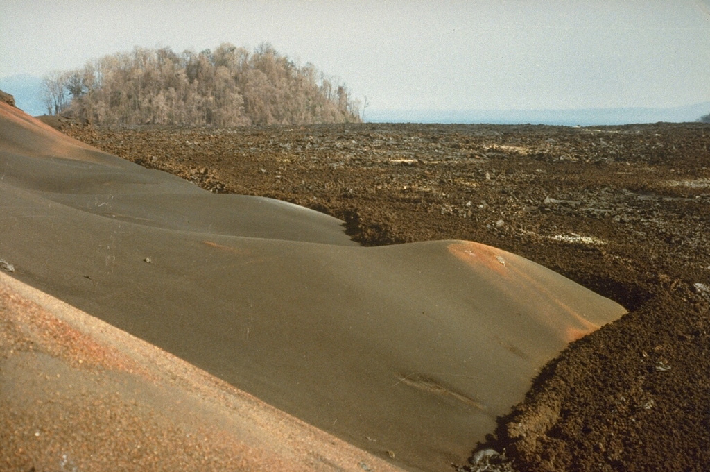 A lava flow from the April-August 1989 eruption around a scoria cone in this 2 December 1989 view. The eruption scorched vegetation on an older cone at the upper left that is now surrounded by the lava. The 1989 lava flow traveled about 20 km to the north. Photo by Henry-Luc Hody, 1989 (Belgian ambassador).