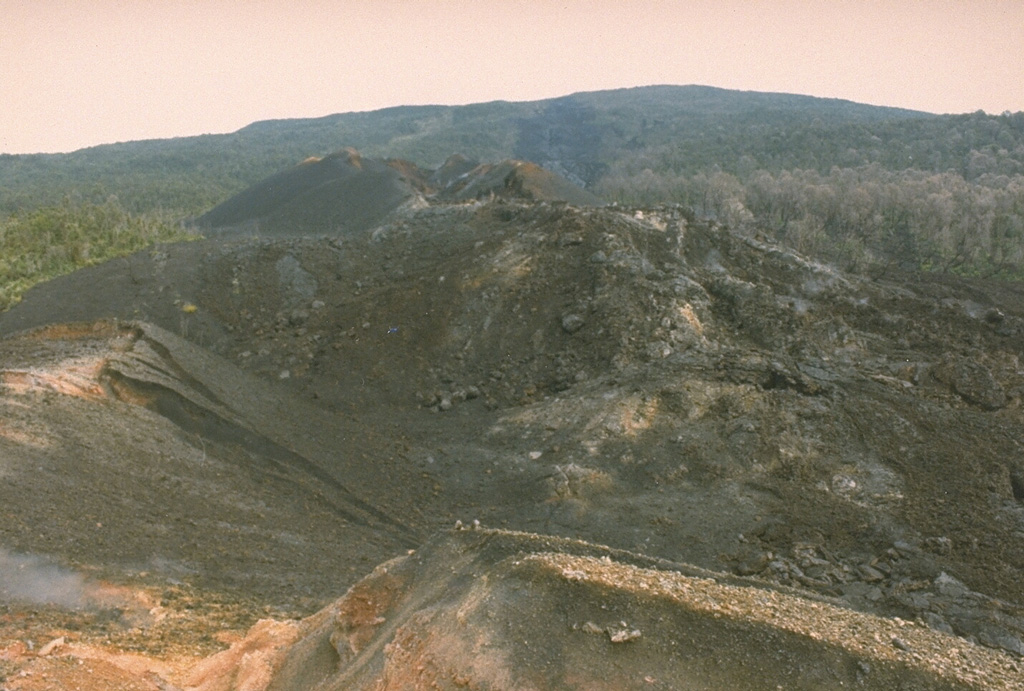 The summit of the broad Nyamuragira shield volcano is seen here in 1990 from a vent on the upper SE flank. Lava flows from Nyamuragira cover 1,500 km2 of the East African Rift. The summit is truncated by a small 2 x 2.3 km summit caldera. Historical eruptions have occurred within the summit caldera and from the numerous fissures and scoria cones on the flanks. Photo by Henry-Luc Hody, 1990 (Belgian ambassador).