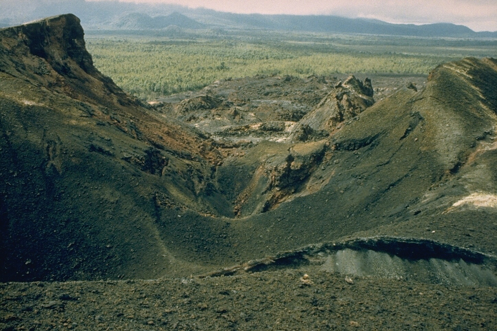 The 1986 Kitazungurwa fissure is seen in this 1987 photo. The south flank eruption produced a scoria cone and a lava flow that traveled 19 km down the SW flank. The flow traveled to within 2 km of the highway along the north shore of Lake Kivu between Goma and Sake. Photo by D. Meurhaeghe, 1987.