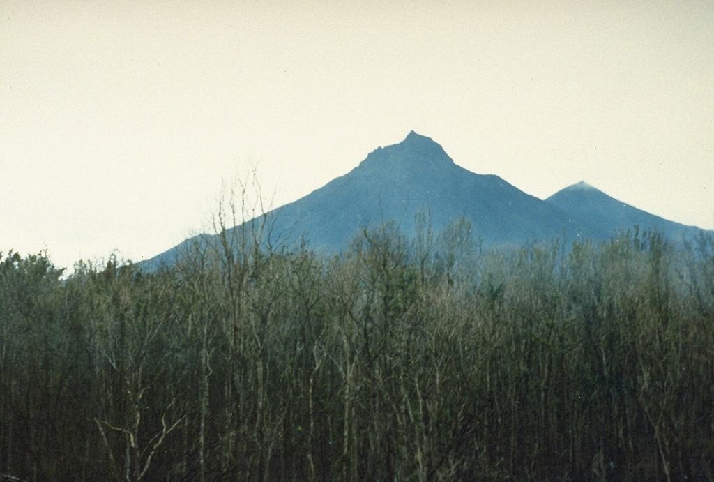 Mikeno volcano (center) and Karisimbi volcano (right) are seen here from the E on the flanks of Nyamuragira volcano. Mikeno is an eroded Pleistocene volcano; Karisimbi is younger. The 2-km-wide Branca caldera is located SE of the summit of Karisimbi and is filled by viscous lava flows and has two craters. More than 100 parasitic cones extend along a NNE-SSW zone to the shores of Lake Kivu. Photo by Henry-Luc Hody, 1989.