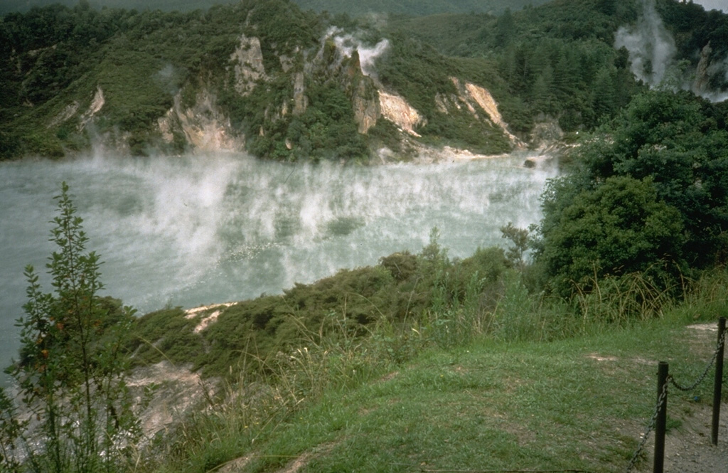 The steaming Waimangu hot pool is located near the southern end of the 1886 Tarawera eruptive fissure. Intermittent phreatic eruptions took place from this and other craters south of Lake Rotomahana from 1886 until as recently as 1973. Waimangu (black water) geyser was active from 1900 until activity ceased on 1 November 1904. Photo by Richard Waitt, 1986 (U.S. Geological Survey).