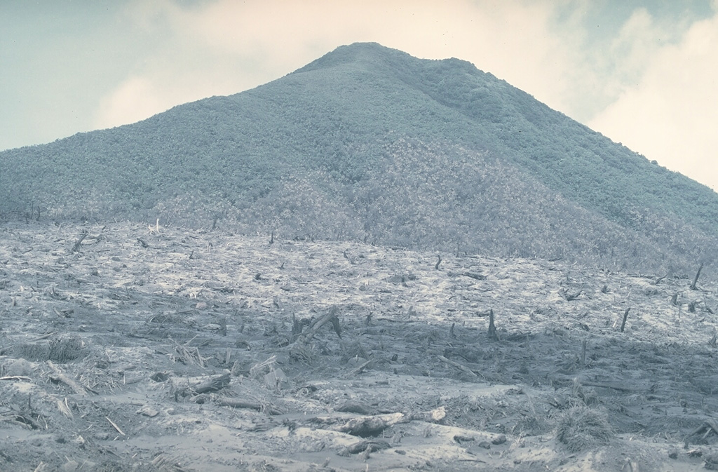 This September 1979 view looks S towards Kanagioi peak across the devastated zone of the 8 March 1979 explosion. Trees in the foreground, on the southern rim of the caldera, were blown down and removed by a lateral explosion from a new vent on the caldera floor 300 m below. An area of standing singed trees extends up the slopes of Kanagioi. A crescent-shaped area extending up to 900 m from the caldera was devastated by the explosion, which killed volcanologists Robin Cooke and Elias Ravian who were monitoring the eruption. Photo by William Melson, 1979 (Smithsonian Institution)
