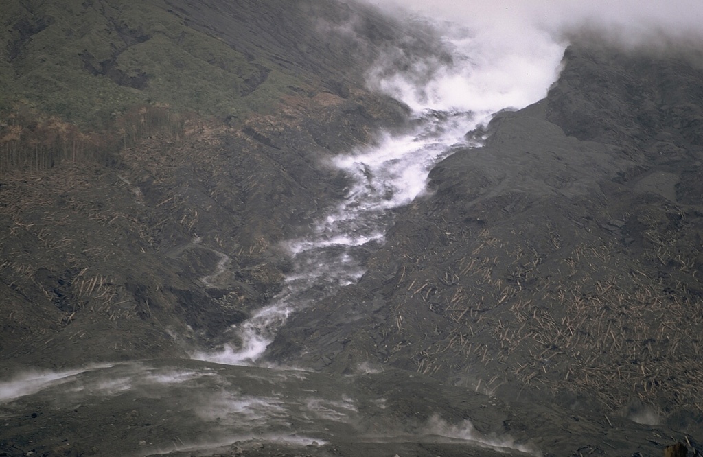 A white plume rises above a lava flow descending a channel on the NW flank of Ulawun volcano in February 1970. A pyroclastic flow descended the channel on 22 January to produce the deposits in the foreground. Pyroclastic surges at the margins of the hot avalanches knocked down rainforest trees in the direction facing away from the volcano as far as 5 km from the summit. The eruption lasted from 15 January to 11 February. Photo by Robert Citron, 1970 (Smithsonian Institution; courtesy of William Melson)