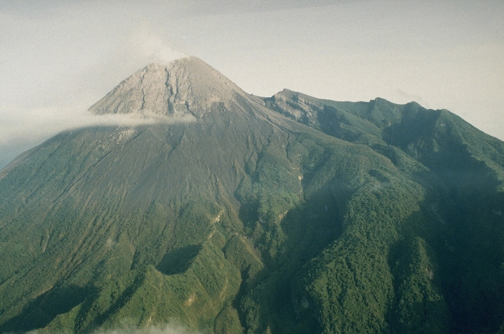 Merapi in central Java is capped by an unvegetated lava dome complex. The modern edifice of Merapi, to the left in this view, is constructed to the SE of the arcuate scarp on the right that was formed by destruction of the older Batulawang volcano. Periodic growth and collapse of lava domes produce pyroclastic flows (block-and-ash flows) and lahars that have devastated populated areas below the volcano. Photo by Yustinus Sulistiyo, 1994 (Volcanological Survey of Indonesia).