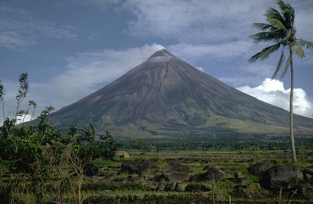 Mayon in SE Luzon is one of the most active volcanoes in the Philippines. It rises above the Albay Gulf and is the result of eruptions from a single central conduit. Frequent eruptions have been recorded since 1616 and have typically included powerful explosive activity accompanied by pyroclastic flows, lahars, and lava flows that descended to the lower flanks. Photo by Kurt Fredrickson, 1968 (Smithsonian Institution).