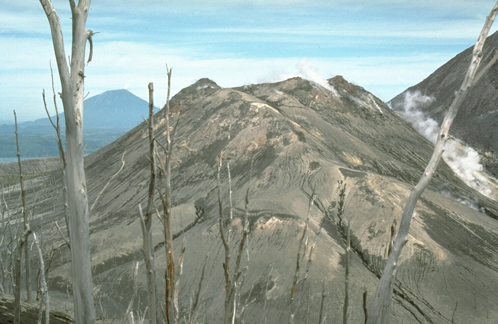 Ko-Usu lava dome, seen here from the S, is mantled by a thick  ejecta deposit from the 1977 eruption. This is one of several lava domes in the summit crater of Usu volcano, formed after a major explosive eruption either in 1663 or 1769 CE. Yotei volcano is on the left horizon. Photo by Norm Banks, 1981 (U.S. Geological Survey).