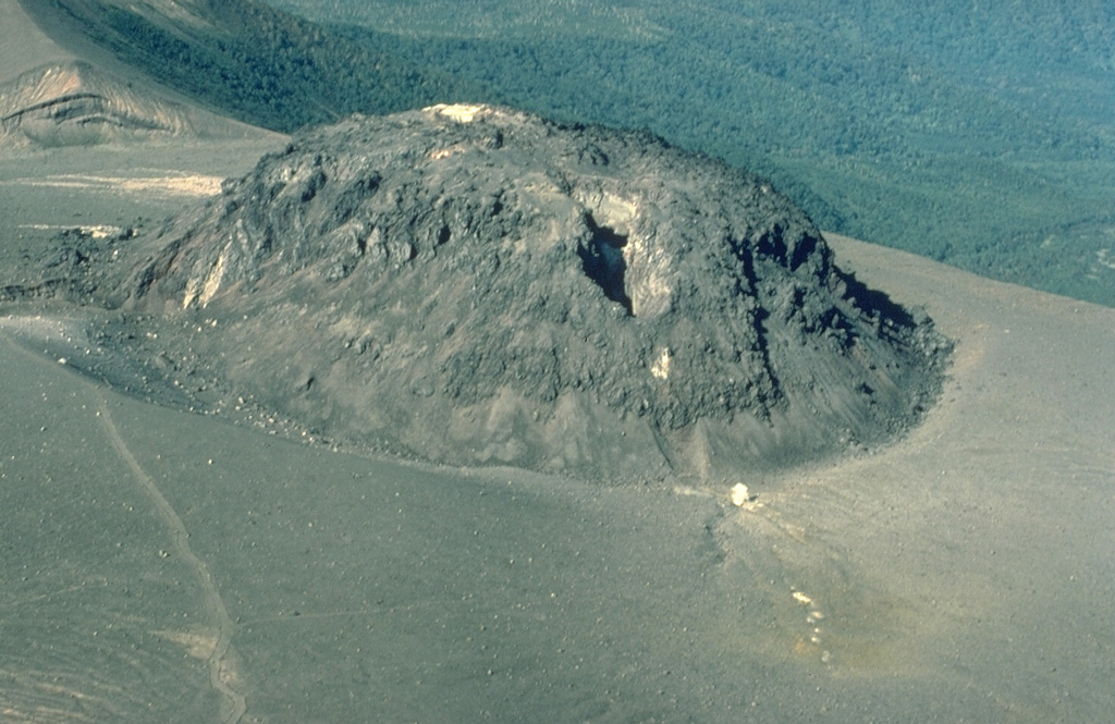 A 130-m-high lava dome was emplaced at the summit of Tarumai volcano on Hokkaido in 1909.  The dome grew rapidly near the end of an explosive eruption that began on January 1.  An eruption in 1917 produced the fissure that cuts diagonally across the dome.  Subsequent eruptions have occurred along this fissure and at other locations on the summit and flanks of the dome. Copyrighted photo by Katia and Maurice Krafft, 1981.