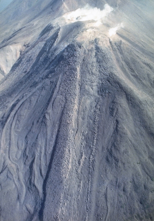 Lava flows, many with prominent marginal levees, descend the W flank of Moyorodake. This is one of four cones constructed along an NE-SW line and it has two shallow craters. The western crater has produced a thick lava flow and numerous other lava flows that form the flanks of the cone and extend 2-3 km. This cone had eruptions in 1778 or 1779, 1883, and 1958. Photo by T. Vendelin, 1990 (courtesy of Genrich Steinberg, Institute for Marine Geology and Geophysics, Yuzhno-Sakhalinsk).