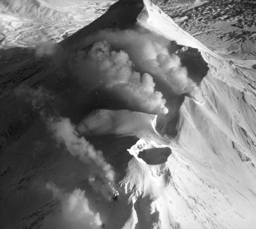 Gas-and-steam plumes rise from fumaroles on the summit ridge of Zhupanovsky in February 1990. This view from the west shows fumarole plumes rising from the flanks of the historically active crater (bottom) and from the ridge above it, which forms one of four cones. The peak at the top of the photo is the summit. Photo by B.V. Ivanov, 1990 (Institute of Volcanic Geology and Geochemistry, Petropavlovsk).