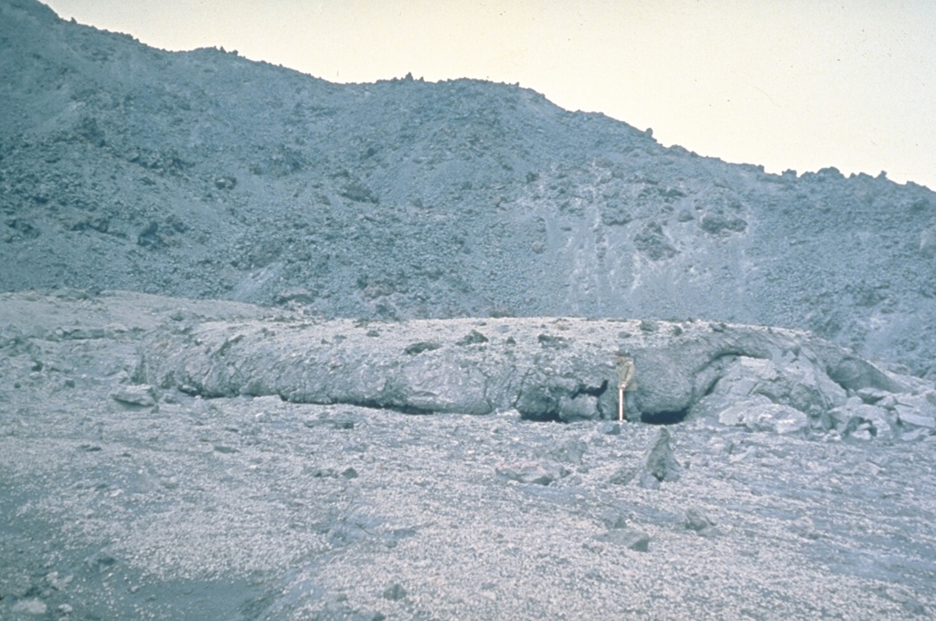 The lava flow in the center of the photo was erupted from Karymsky during a 1960-65 eruption. The lava flow shown in this image was erupted onto the NW flank of the cone in March 1963. Intermittent explosive and effusive activity took place from April 1960 to January 1965. Photo by Oleg Volynets (Institute of Volcanology, Petropavlovsk).