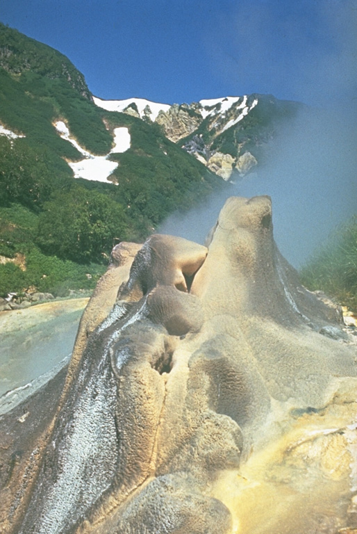 The Dvoinoi (Sugar) geyser is one of nearly 30 found in the "Valley of Geysers," a major geothermal area along a 4-km-long valley near the eastern margin of the Geysernaya caldera at Kamchatka's Uzon volcano. High heat flux near the eastern ring faults of the caldera produces active geysers, boiling hot springs, and mud pools. Photo by Sakharnii (courtesy of Oleg Volynets, Institute of Volcanology, Petropavlovsk).