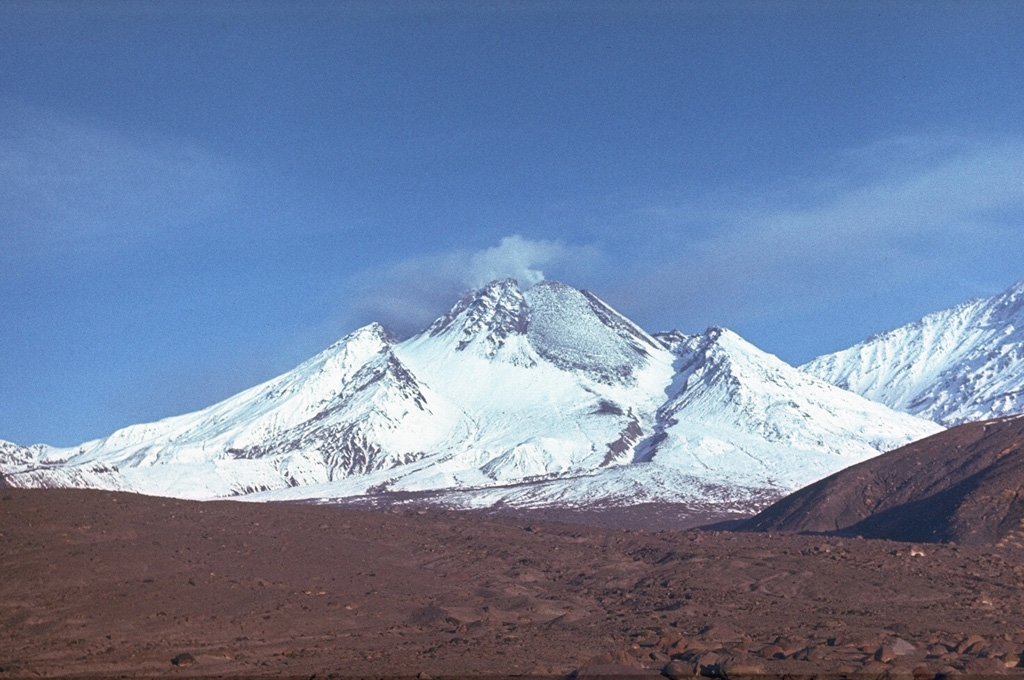 The Novy lava dome formed within the horseshoe-shaped crater that formed by collapse of the summit of Bezymianny in 1956. Intermittent dome growth since 1956 has filled much of the crater. This 11 September 1988 photo from the east shows the lava dome with a broad lava flow (lightly covered by snow) on the NE flank. The flow was produced by slow lava effusion during December 1986 to July 1988. The slopes of Kamen appear to the right. Photo by Alexander Belousov, 1988 (Institute of Volcanology, Kamchatka, Russia).
