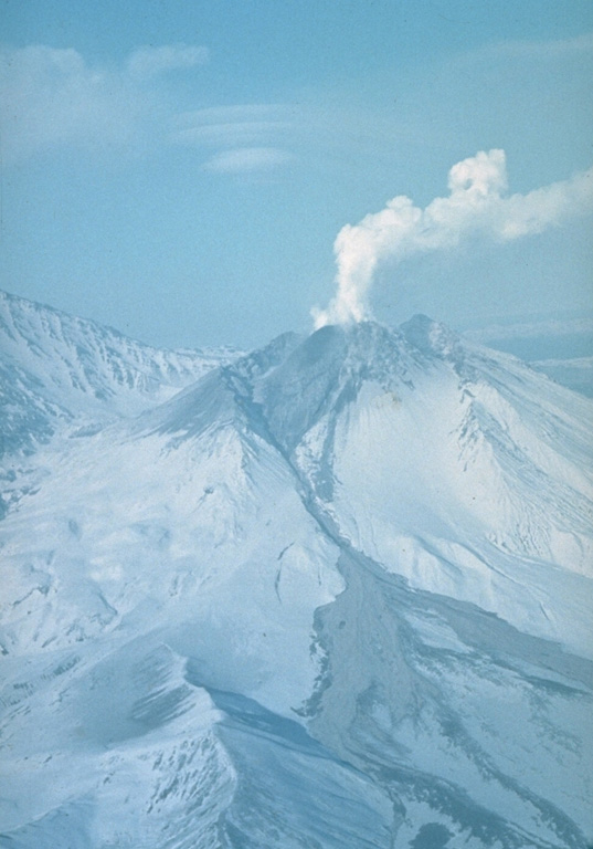An explosive eruption at Bezymianny that began on 21 October 1993 deposited ash on Bering Island, 515 km to the ESE. Pyroclastic flows from the eruption traveled 14-16 km. Ash plumes rose to 8-15 km on 24 October and additional strong explosions took place on 28 and 29 October. This fall 1993 photo shows the pyroclastic flow and lahar pathways down the eastern flank. Photo by V.N. Nechaev, 1993 (courtesy of Oleg Volynets, Institute of Volcanology, Petropavlovsk).